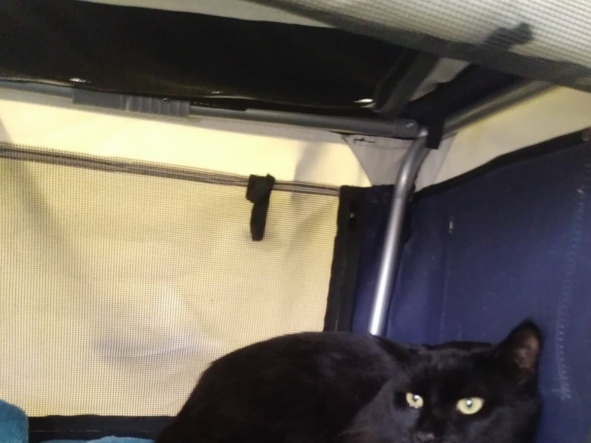 Rosemont Animal Clinic — foto