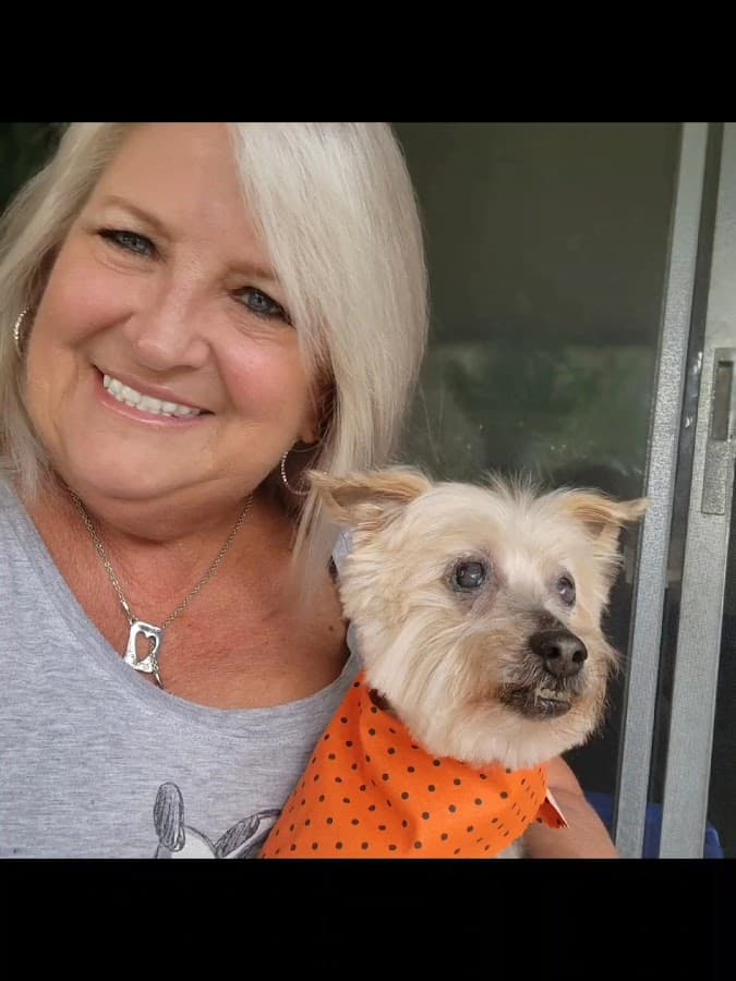 North Bay Animal Hospital — foto