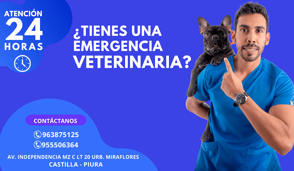 OH MY DOG — foto
