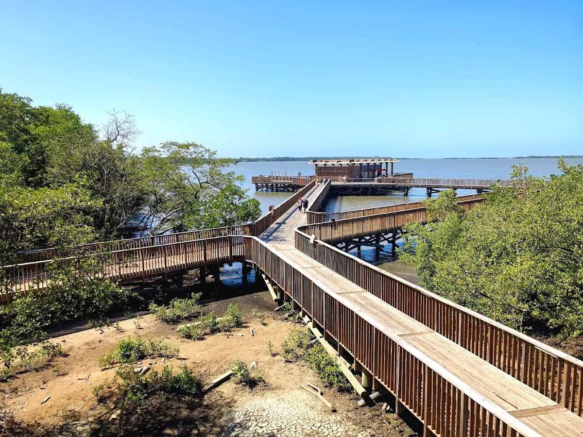 Ecoparque Ciénaga de Mallorquín