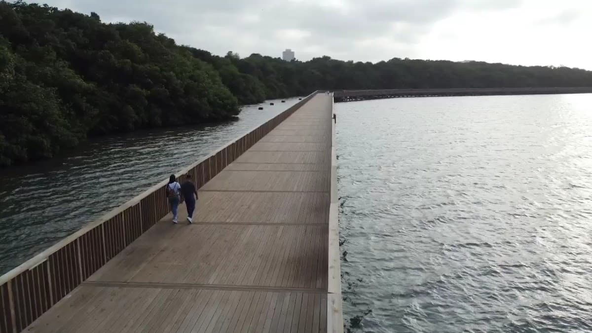 Ecoparque Ciénaga de Mallorquín — foto
