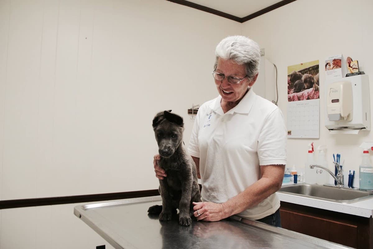 River City Veterinary Hospital — foto