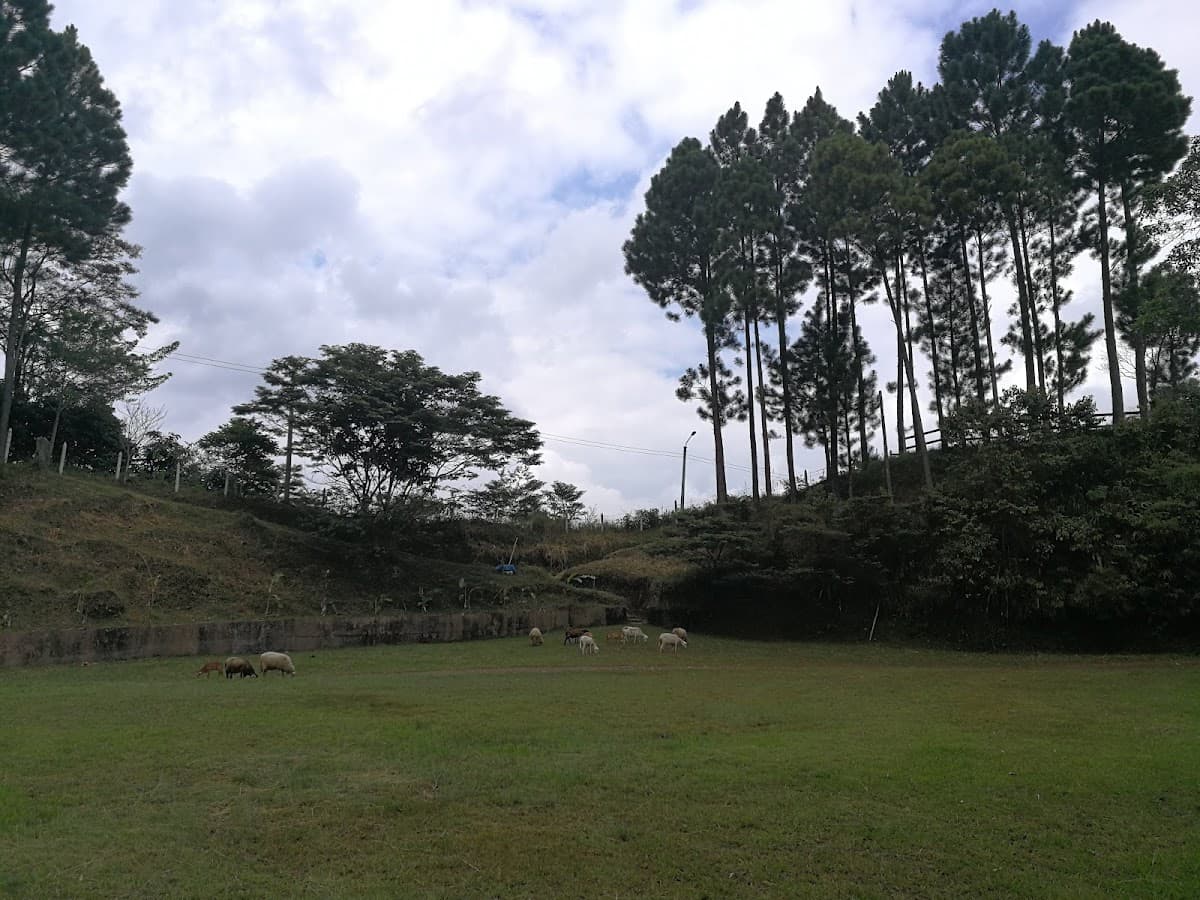 Parque Ecologico el Bambú