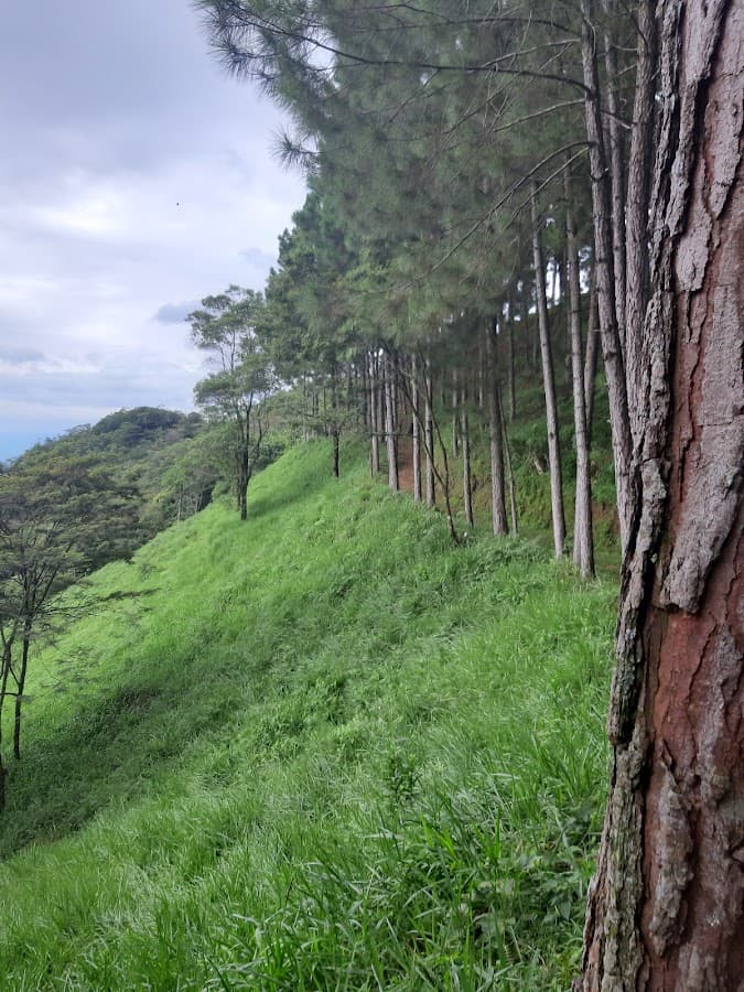 Parque Ecologico el Bambú — foto