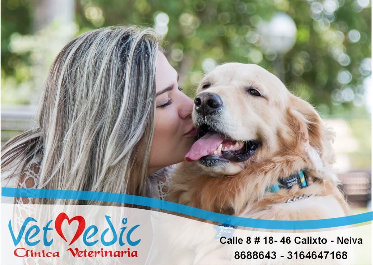 VetMedic Clínica Veterinaria — foto