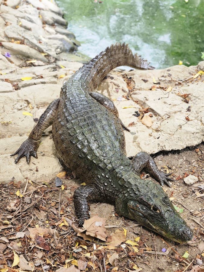 Parque Temático Vivarium del Caribe