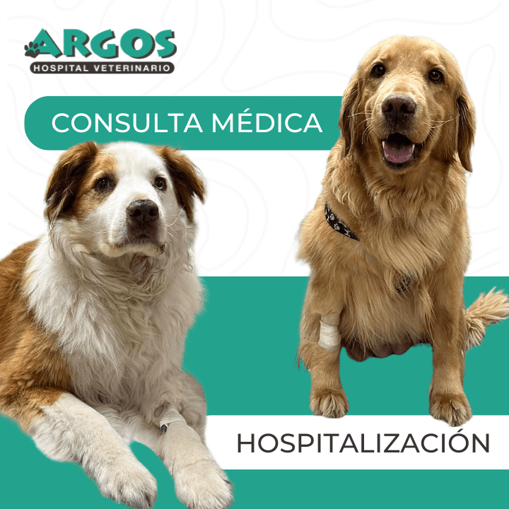 Hospital Veterinario Argos — foto