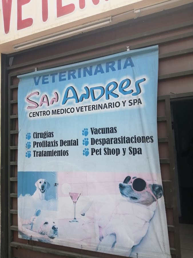 Veterinaria San Andres — foto
