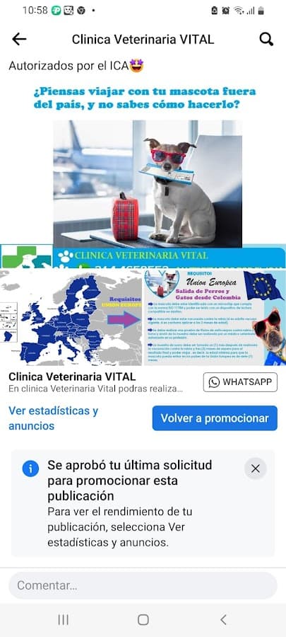 Vital Clinica Veterinaria & Pet Shop — foto