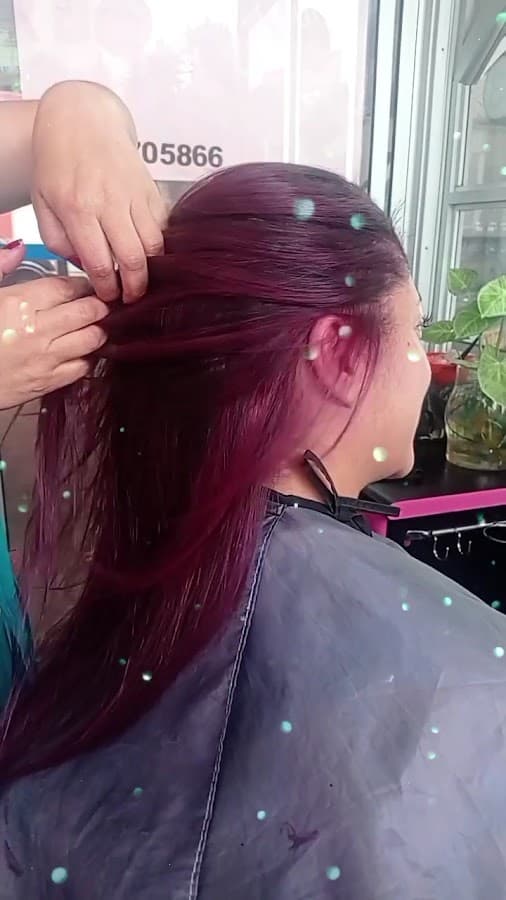peluqueria palo de rosa — foto