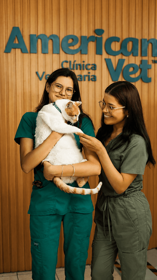 American Vet — foto