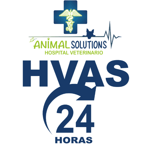 Animal Solutions (AS-VET S.A.S) (Matriz)