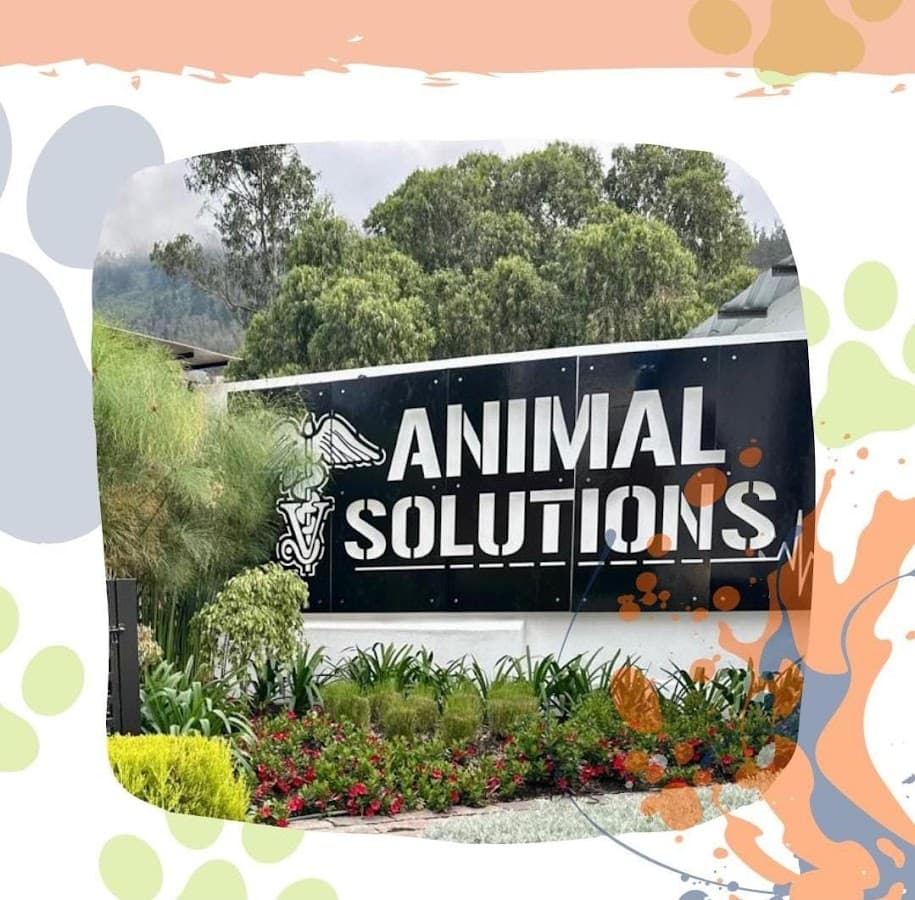Animal Solutions (AS-VET S.A.S) (Matriz) — foto