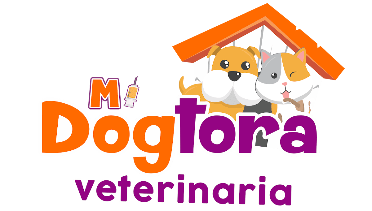 Veterinaria Mi Dogtora — foto