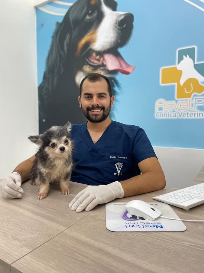 Asvet Clínica veterinaria