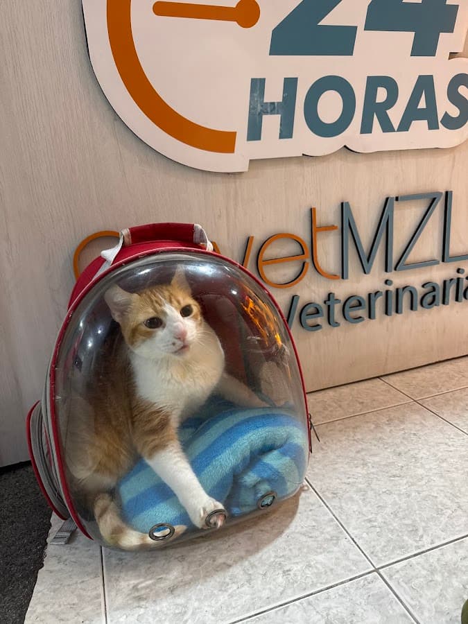Asvet Clínica veterinaria — foto