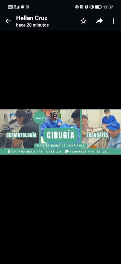 WAMPO VETERINARIA
