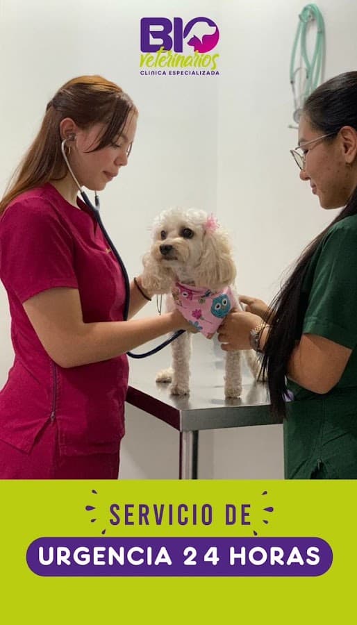 Bioveterinarios Clínica Especializada — foto