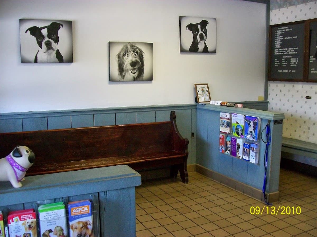 Veterinary Medical Clinic — foto