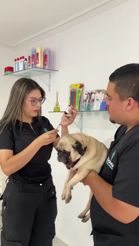 Veterinaria Salvapets — foto