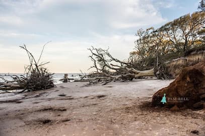 Big Talbot Island State Park