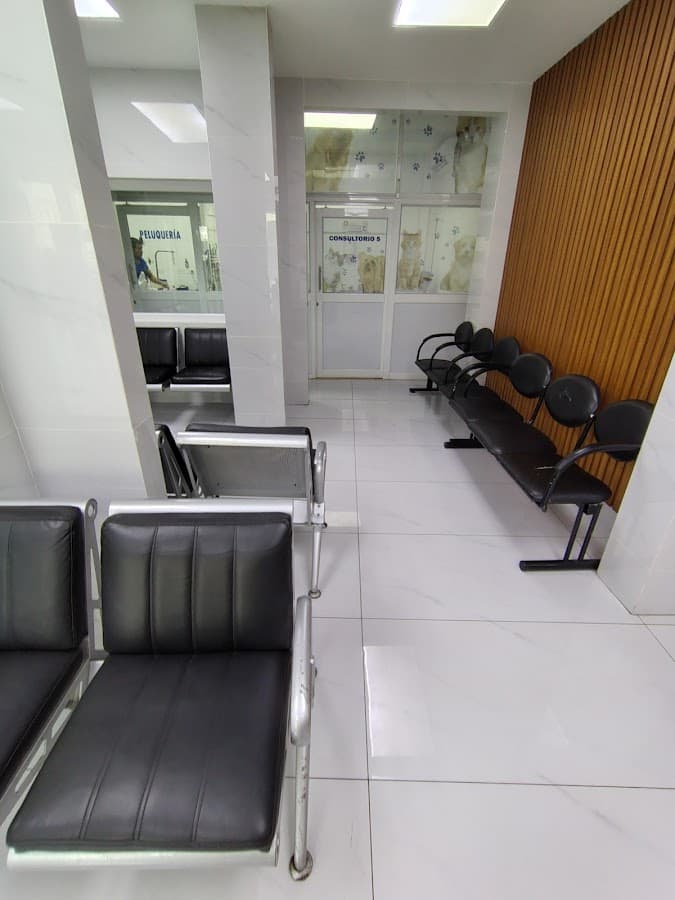 Clinica Veterinaria Guayaquil — foto