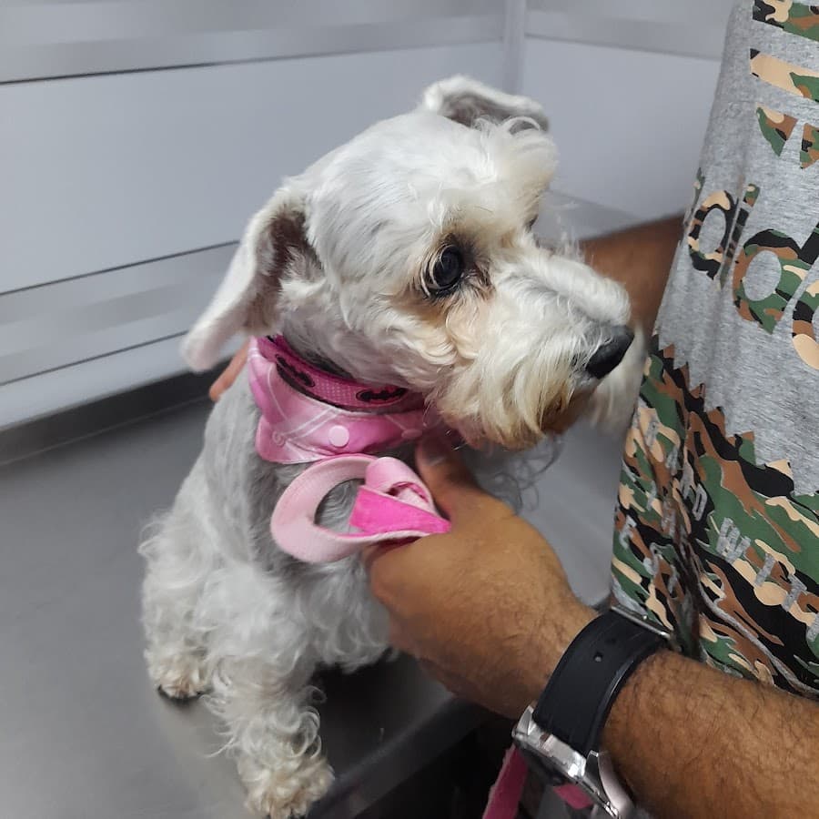 Kabala Centro Veterinario