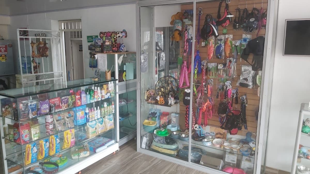 VETERINARIA CARTAGENA — foto
