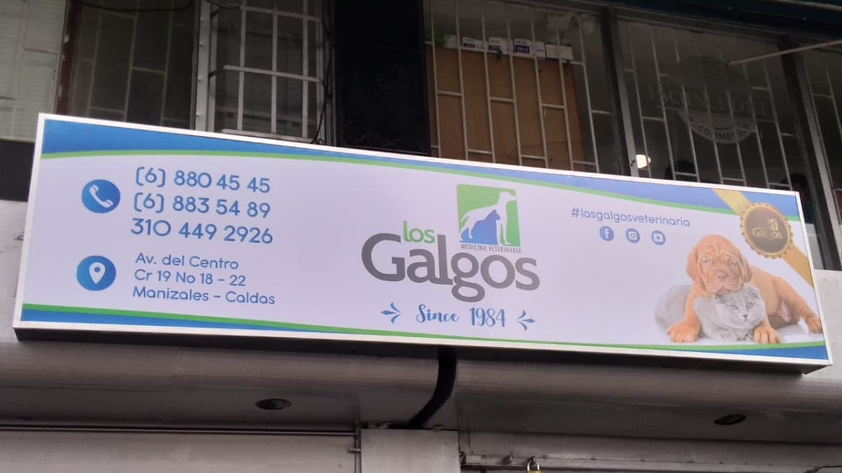 Clinica Veterinaria Los Galgos