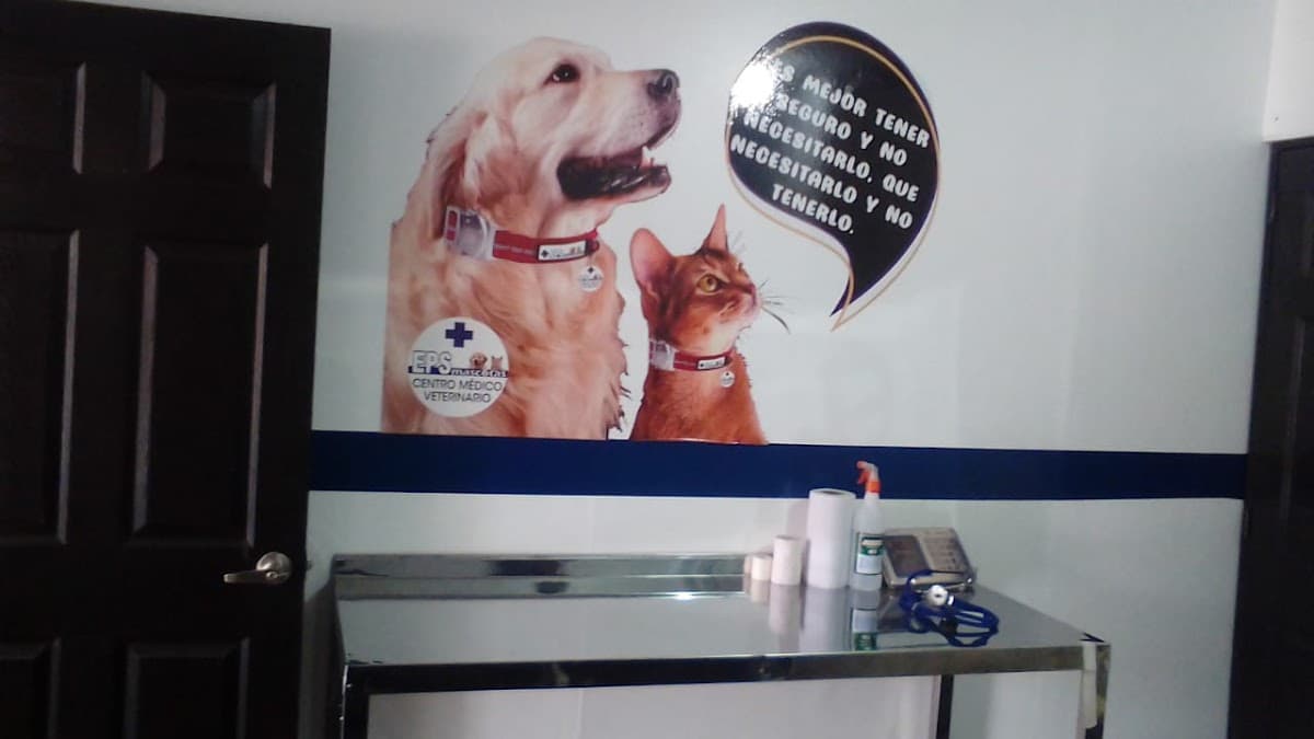 Clínica Veterinaria 24 horas — foto