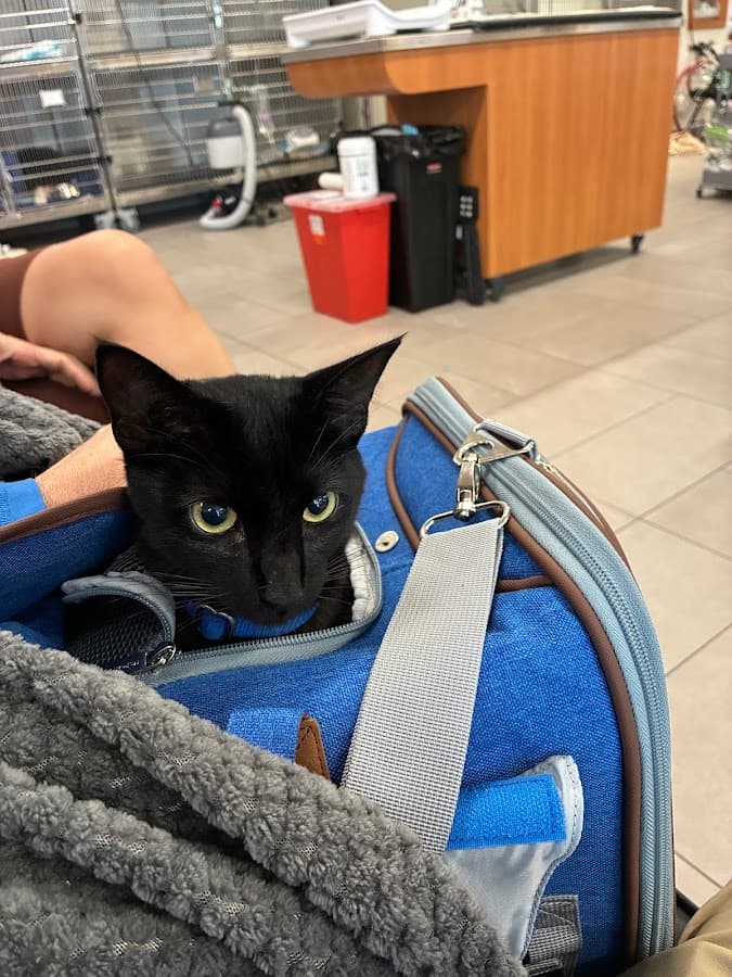 VEG ER for Pets — foto