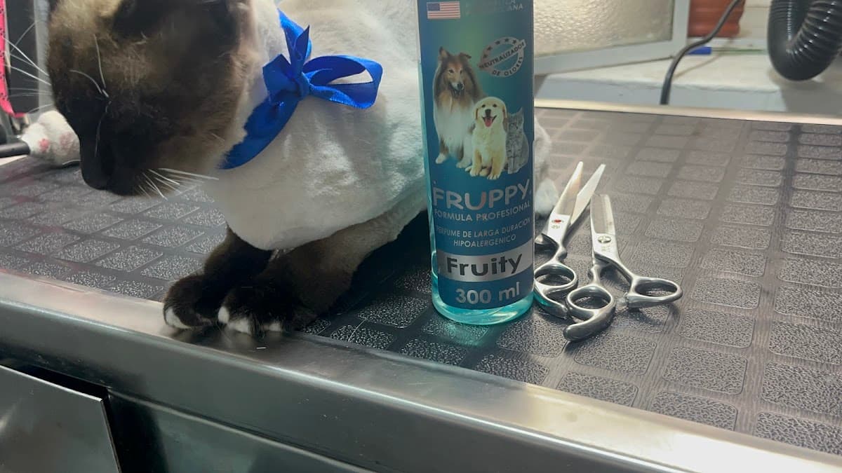 MOTITAS VET and GROOMERS — foto