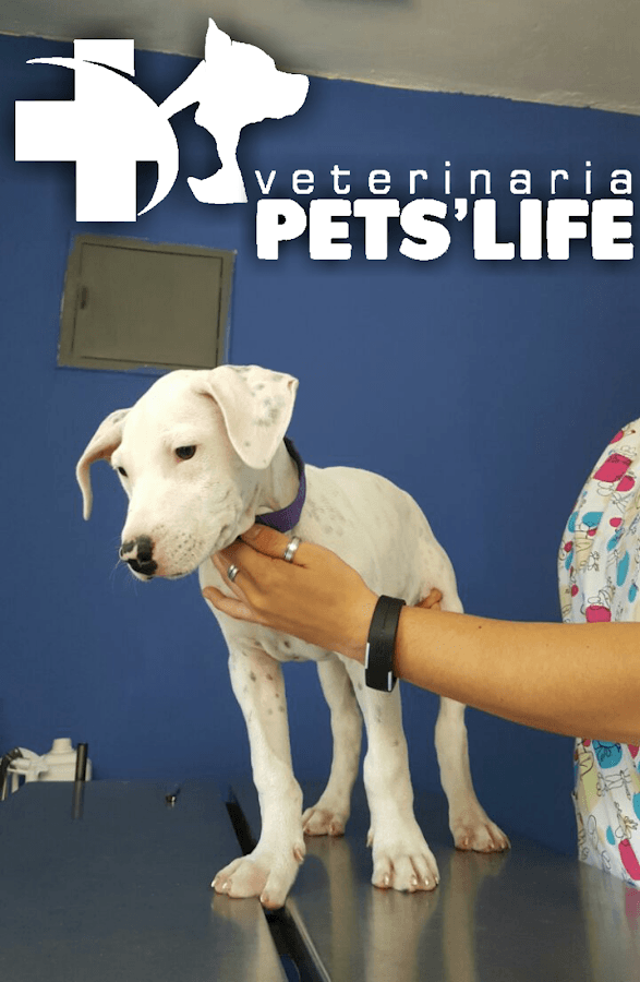 Veterinaria Pets' Life Piura — foto