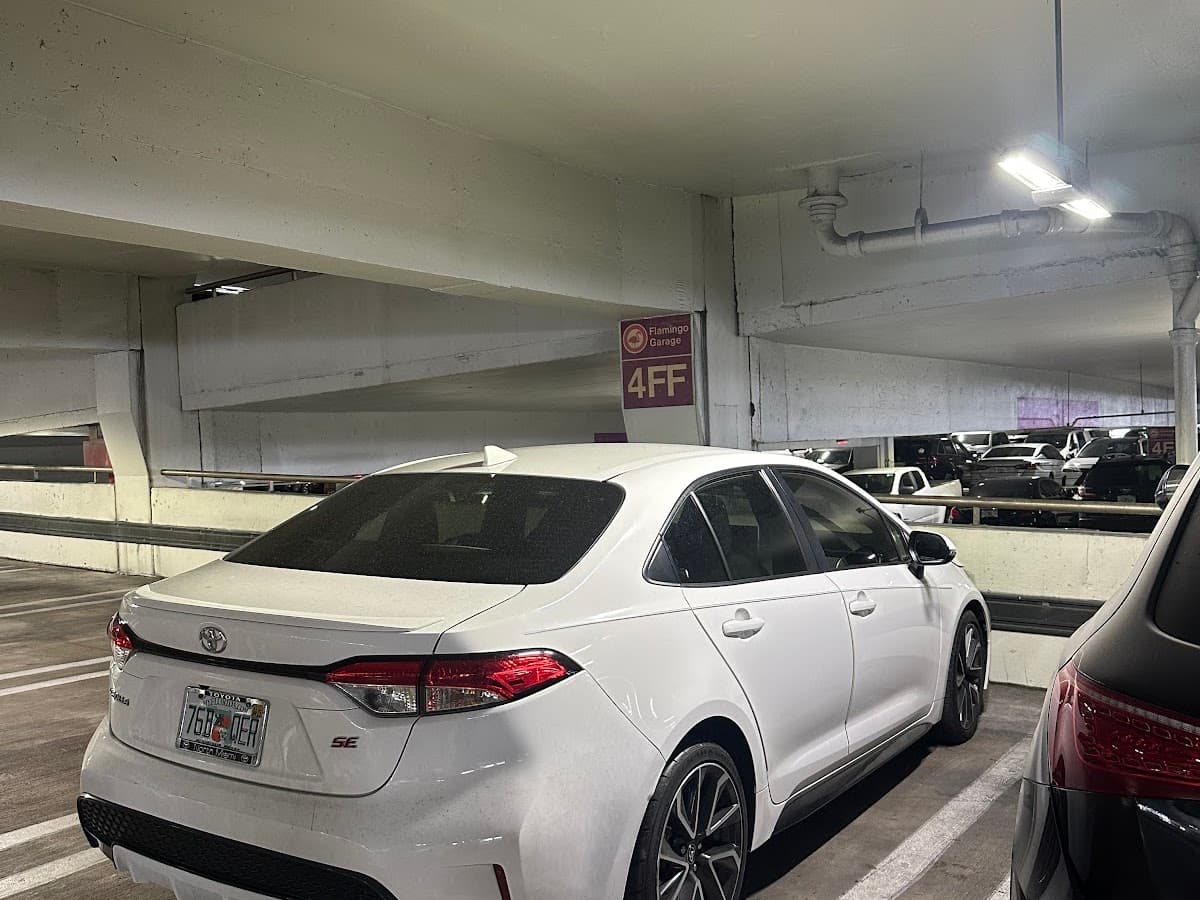 Car Rental Miami | Car Renters Club — foto