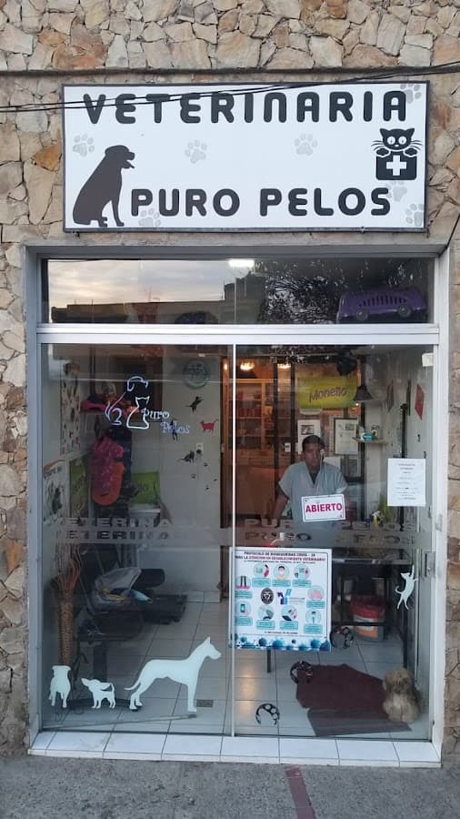 Veterinaria Puro Pelos