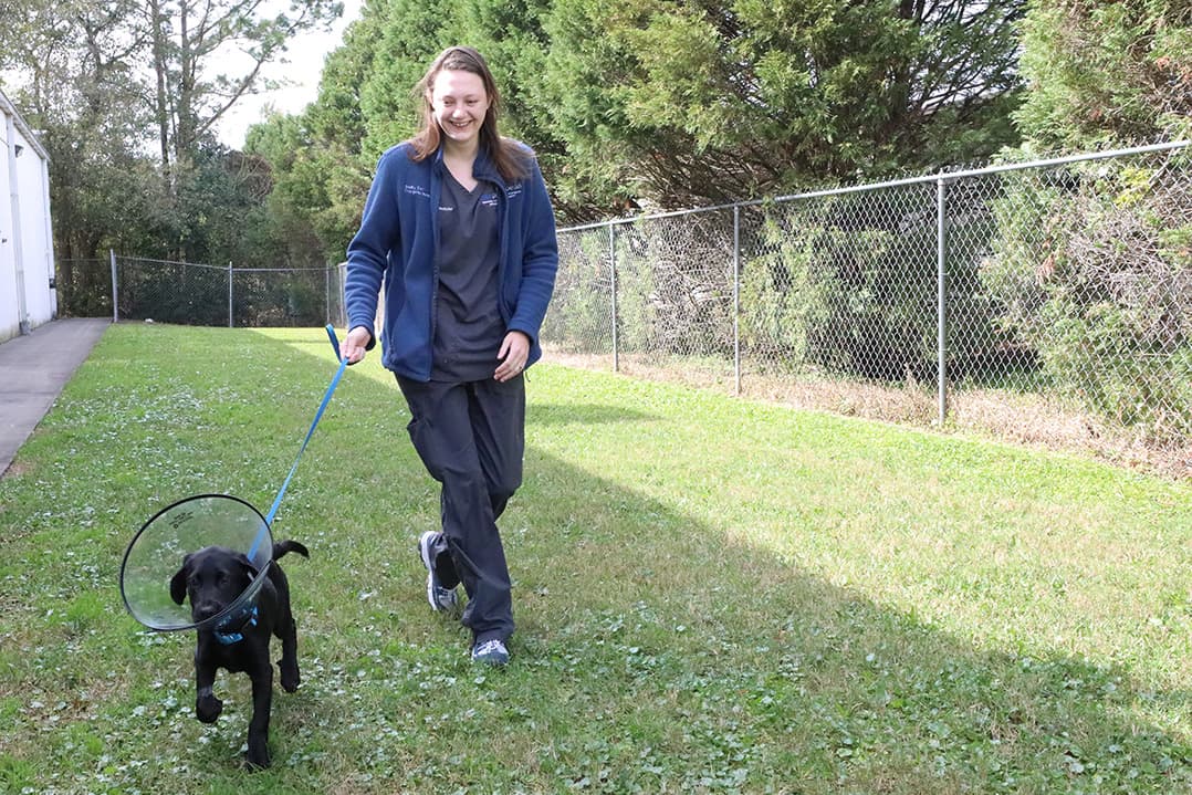 BluePearl Pet Hospital