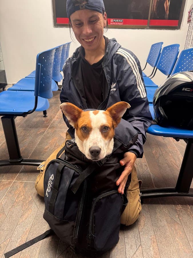 Dr Arbelaez Clinica Veterinaria — foto