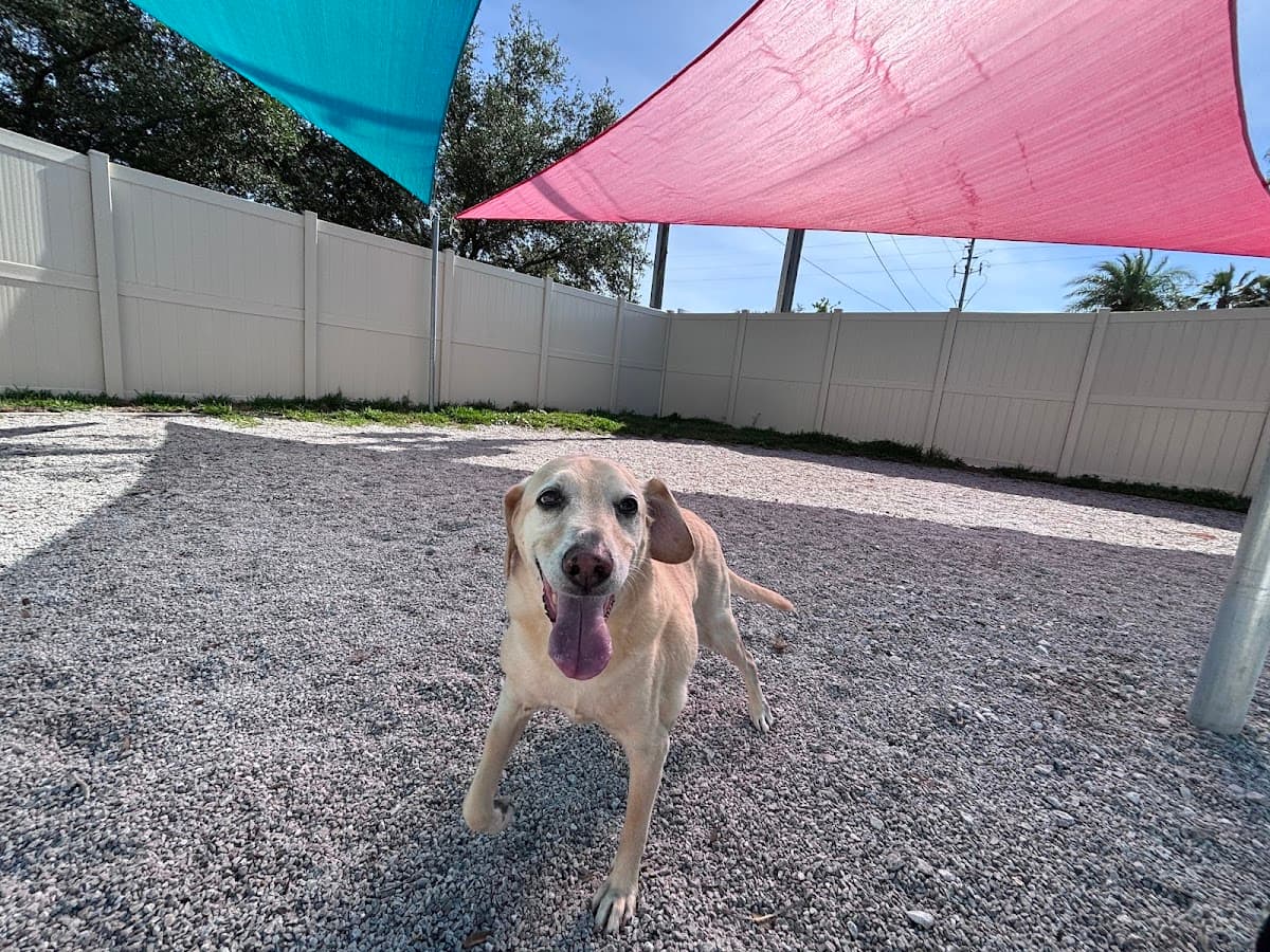 Care Pet Animal Hospital — foto