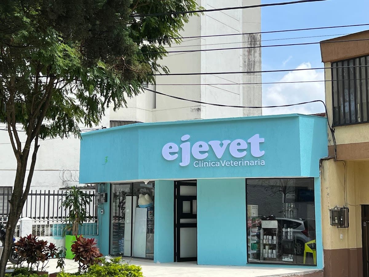 Ejevet
