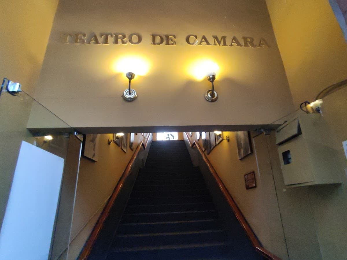 Teatro Municipal Alberto Saavedra Pérez — foto