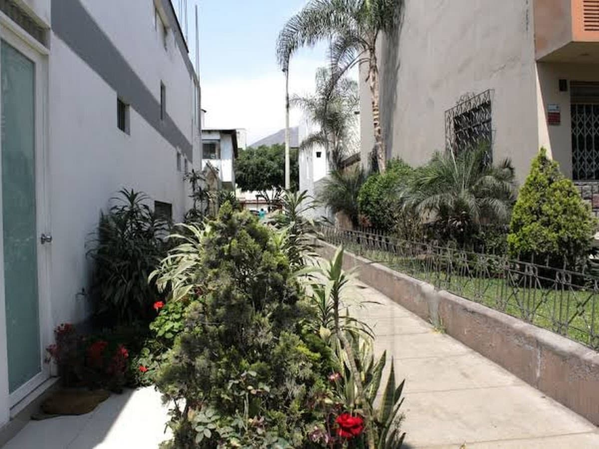 El Mirador — foto