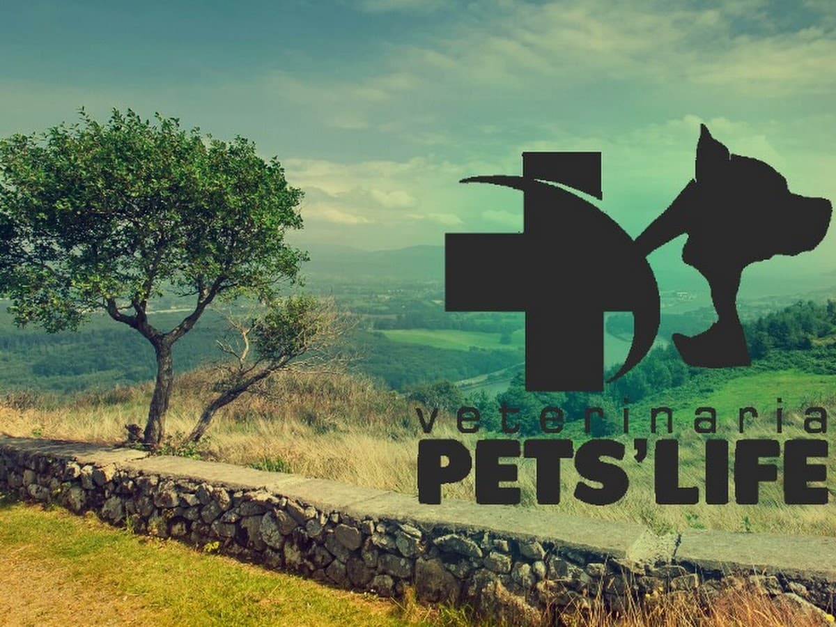 VETERINARIA SANTA ROSA 1 — foto