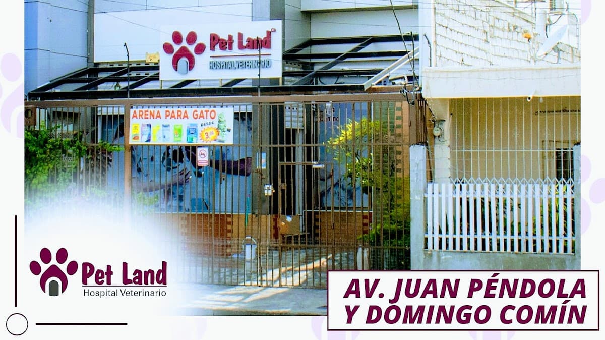 Pet Land Hospital Veterinario