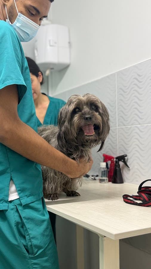 Clinica Veterinaria Ecovet — foto