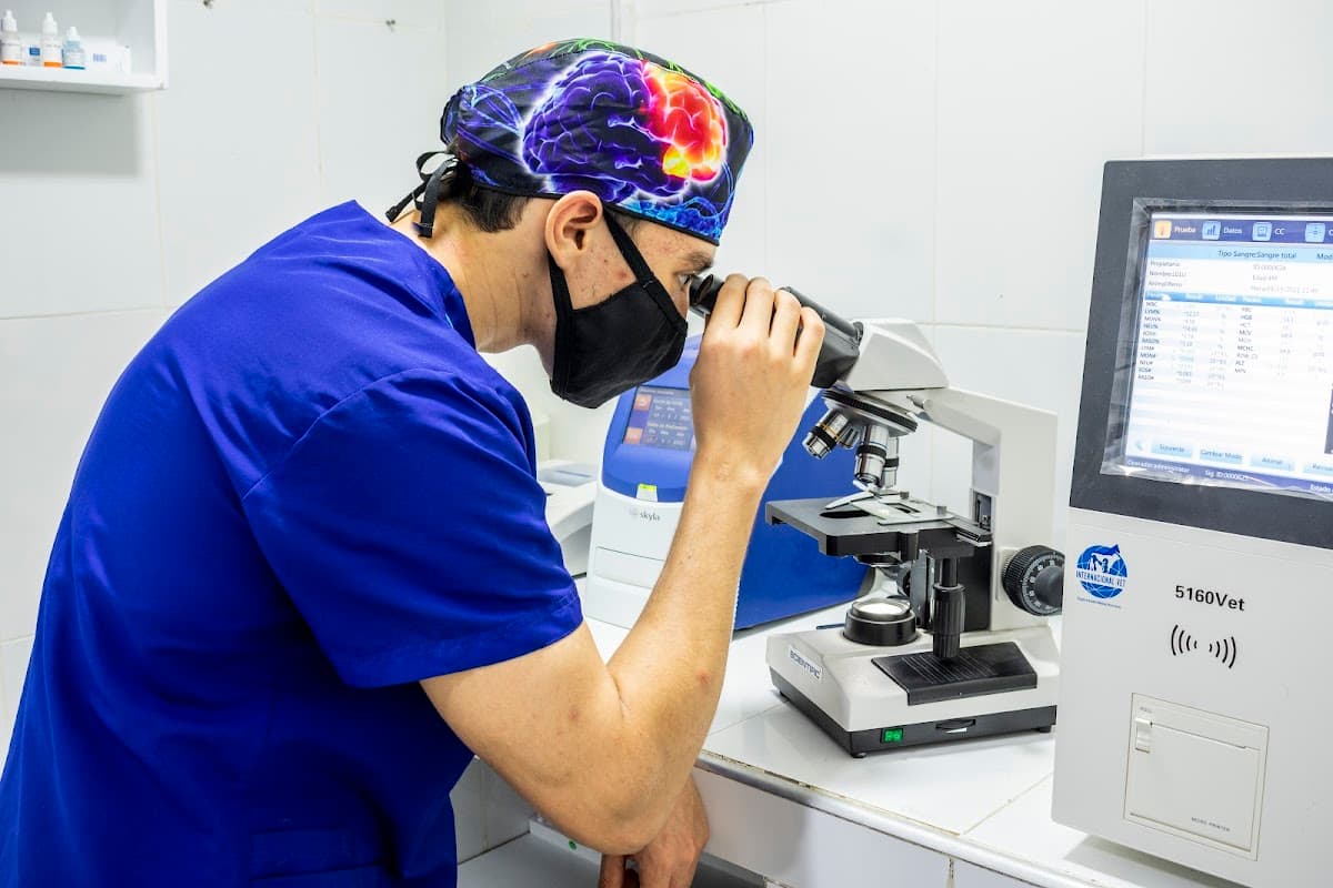 Clínica Veterinaria San Rafael
