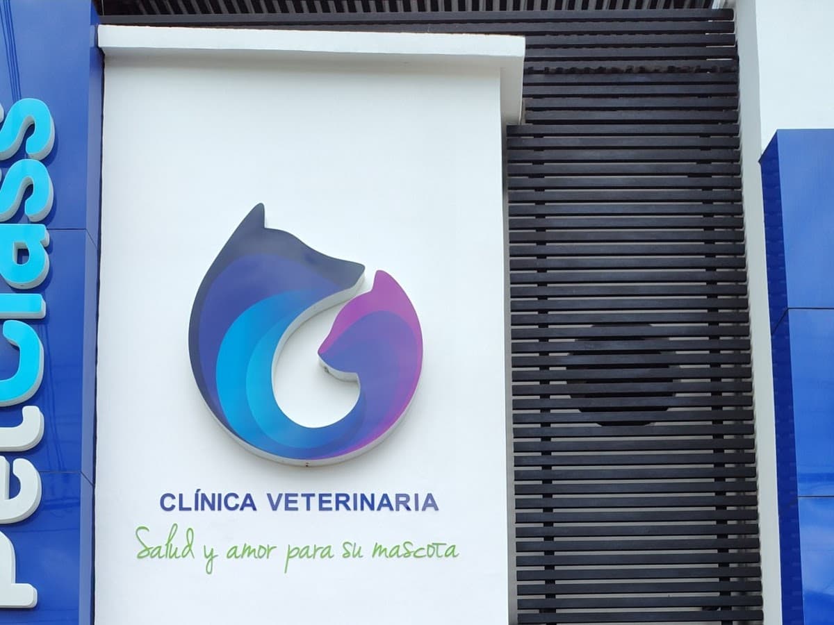 VETERINARIA PETITS — foto