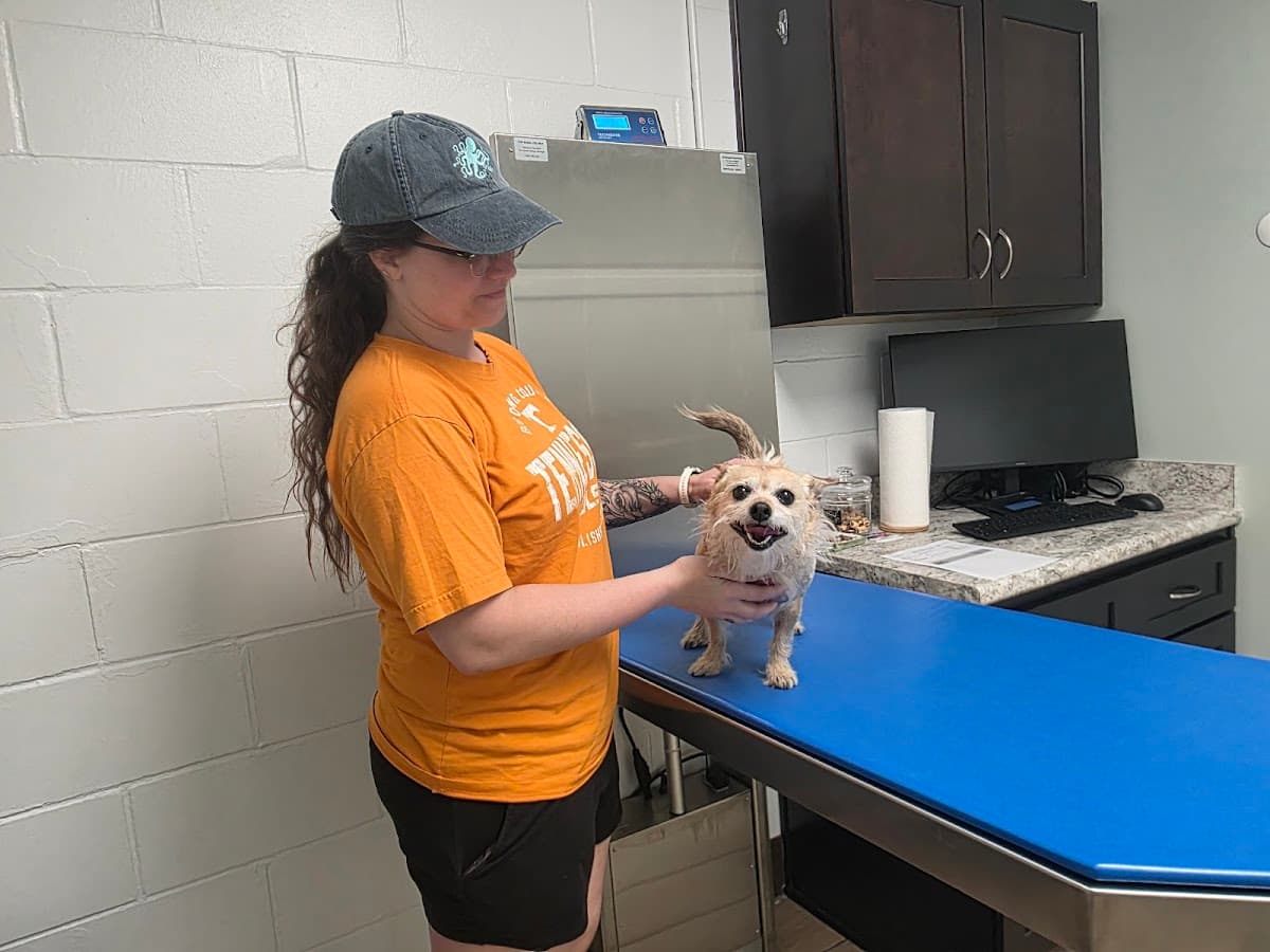 Springfield Animal Hospital — foto