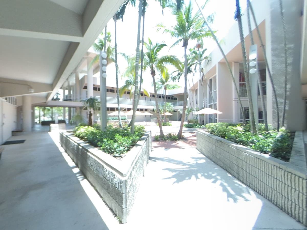University of Miami Intensive English Program — foto