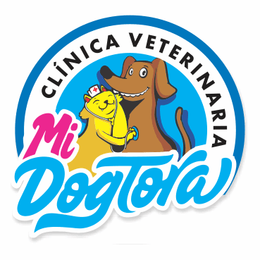 Clinica Veterinaria Mi Dogtora — foto
