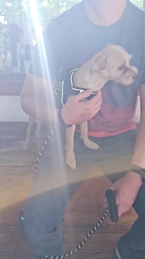 Silver Bluff Animal Clinic — foto